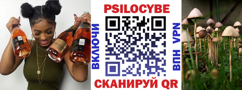 сколько стоит  Ельня  Псилоцибиновые грибы GOLDEN TEACHER 